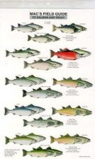 Mac's Field Guide to Trout and Salmon of North America