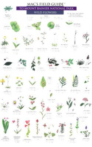 Flowers and Trees