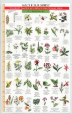 Great Smoky Mountains National Park: Trees & Wildflowers