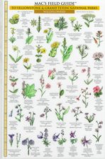 Yellowstone & Grand Teton National Parks: Trees & Wildflowers