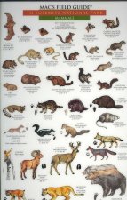 Yosemite National Park: Birds & Mammals