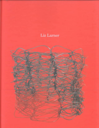 Liz Larner