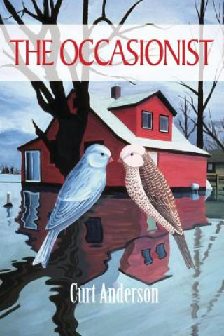 The Occasionist