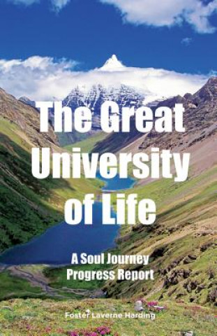 The Great University of Life: A Soul Journey Progress Report