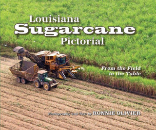 Louisiana Sugarcane Pictorial: From the Field to the Table