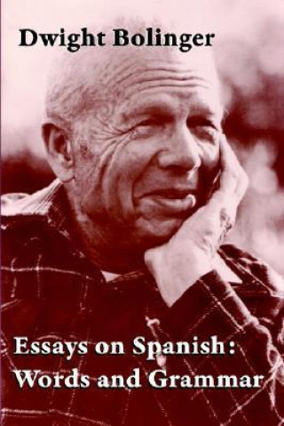 Essays on Spanish: Words and Grammar