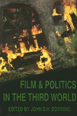 Film & Politics in the Third World