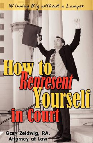 How to Represent Yourself in Court