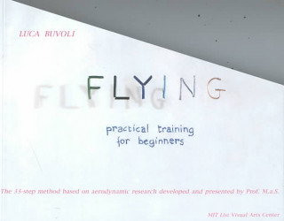 Luca Buvoli: Flying: Art Since 1980 at Moma