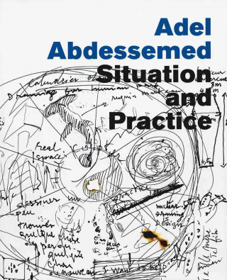 Adel Abdessemed: Situation and Practice