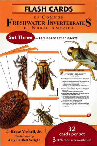 Flash Cards of Common Freshwater Invertabrates of North America Set #3- Families of Other Insects