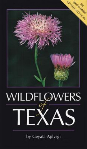 Wildflowers of Texas