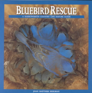 Bluebird Rescue: Country Life Nature Guide