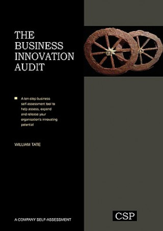 Business Innovation Audit