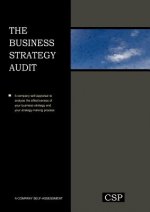 Business Strategy Audit