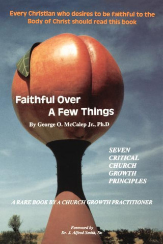 Faithful Over a Few Things