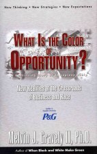 What Is the Color of Opportunity: New Realities at the Crossroads of Business and Race