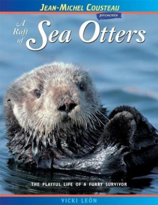 Raft of Sea Otters