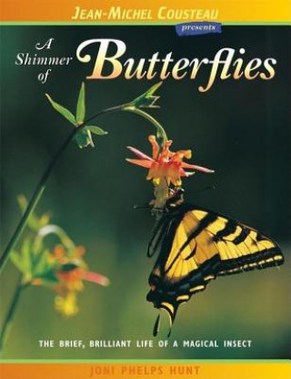 Shimmer of Butterflies