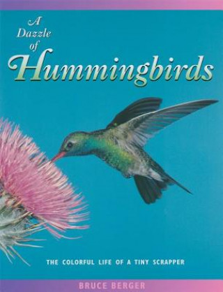 Dazzle of Hummingbirds
