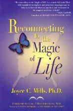 Reconnecting to the Magic of Life