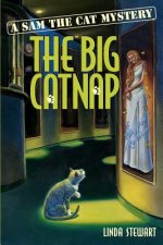 The Big Catnap