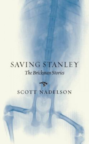 Saving Stanley: The Brickman Stories