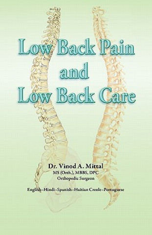 Low Back Pain and Low Back Care