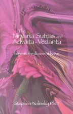 The Nirvana Sutras and Advaita-Vedanta: Beneath the Illusion of Being