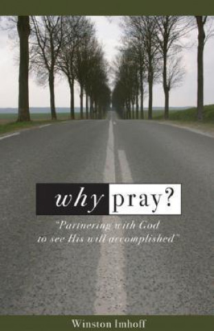 Why Pray?: Partnering with God to See His Will Accomplished