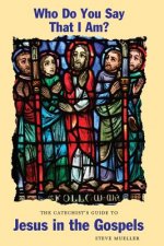 Who Do You Say That I Am? the Catechist's Guide to Jesus in the Gospels