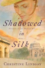 Shadowed in Silk