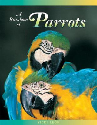 Rainbow of Parrots