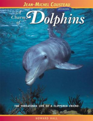 Charm of Dolphins