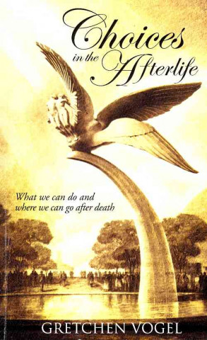 Choices in the Afterlife: What We Can Do & Where We Can Go After Death