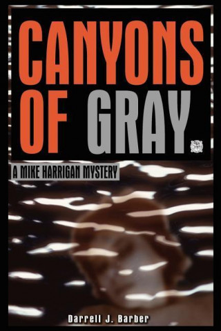 Canyons of Gray