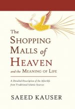 Shopping Malls of Heaven