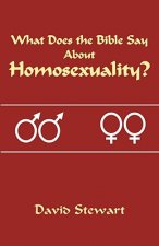 What Does the Bible Say about Homosexuality?