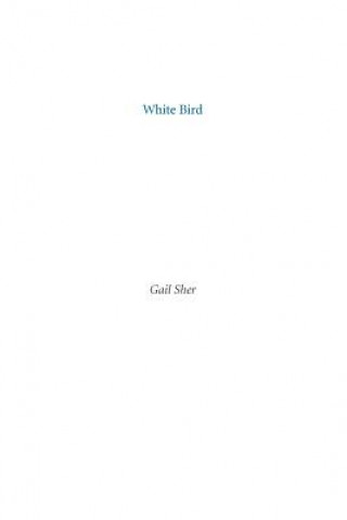 White Bird