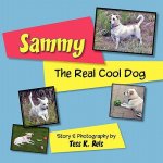 Sammy; The Real Cool Dog