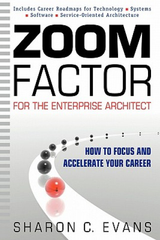 Zoom Factor for the Enterprise Architect: How to Focus and Accelerate Your Career