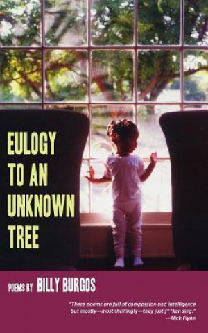 Eulogy to an Unknown Tree