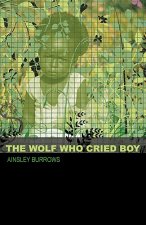 The Wolf Who Cried Boy