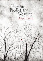 How to Predict the Weather