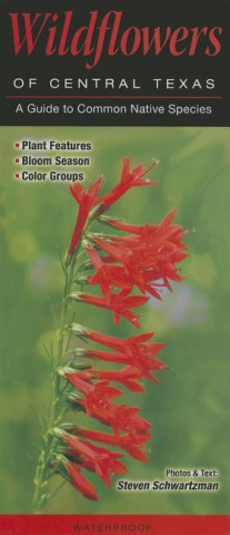Wildflowers of Central Texas: A Guide to Common Native Species