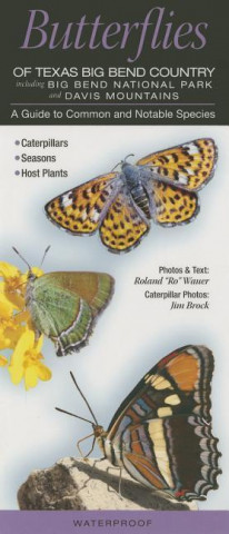 Butterflies of Texas Big Bend Country Incl. Big Bend National Park & Davis Mtns.: A Guide to Common & Notable Species