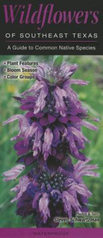 Wildflowers of Southeast Texas: A Guide to Common Native Species