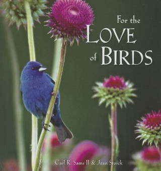 For the Love of Birds