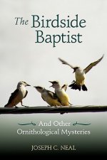 The Birdside Baptist