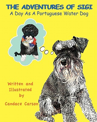 Day as a Portuguese Water Dog